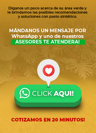 EASY WHATSAPP