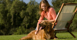 Nuestros pastos sintéticos ofreciendo a los animales todos los beneficios del pasto natural y mas